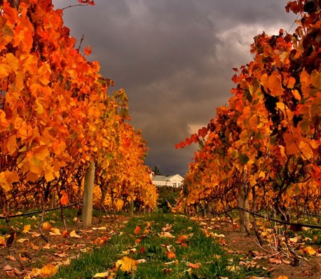 网页攻击器教程