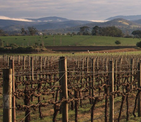 ddos攻击器安卓ios下载